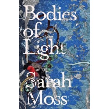 Bodies of Light      {USED}